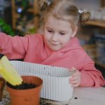 Sustainable Home Eco Friendly Living Choices Save Money
