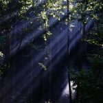 Neighborhoods with hidden parks and green spaces