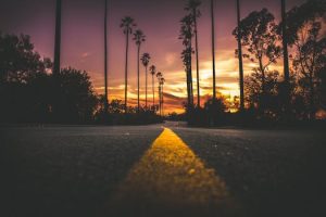 The Changing Landscape of Patent Law