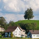 Community gardens feeding more than families