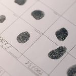 The Role of Forensic Accountants in Major Trials