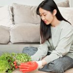 Sustainable Home Eco Friendly Living Benefits Planet Wallet